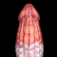 tentacledildo-fr